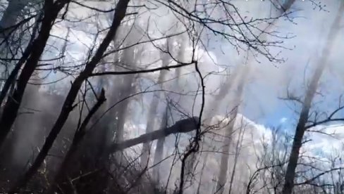 RUSKA ARTILJERIJA IZVODI NAPAD: Posade 2S3 Akacija u jurišnoj akciji u pravcu Avdejevke (VIDEO) RUSKA ARTILJERIJA IZVODI NAPAD: Posade 2S3 Akacija u jurišnoj akciji u pravcu Avdejevke (VIDEO)