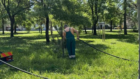 ČUVAJU I ODRŽAVAJU ZELENILO: Redovno zalivanje mladih sadnica u zrenjaninskom Karađorđevom parku ČUVAJU I ODRŽAVAJU ZELENILO: Redovno zalivanje mladih sadnica u zrenjaninskom Karađorđevom parku