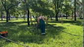 ČUVAJU I ODRŽAVAJU ZELENILO: Redovno zalivanje mladih sadnica u zrenjaninskom Karađorđevom parku