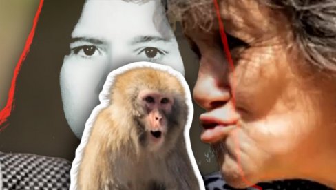 VIDITE JE DANAS: Marinu odgajali majmuni, tragedija se desila kad se VRATILA među ljude - UŽASNO šta su joj uradili (VIDEO) VIDITE JE DANAS: Marinu odgajali majmuni, tragedija se desila kad se VRATILA među ljude - UŽASNO šta su joj uradili (VIDEO)