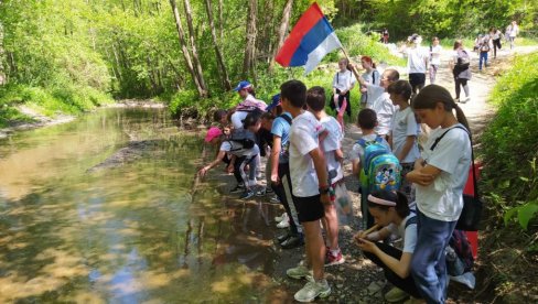 OD GLJIVA DO DEPONIJA: Završen kamp planinara u Beloj crkvi, kod Krupnja