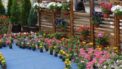 HUMANITARNA AKCIJA: Na „Danima cveća i meda“ sakupljeno 86.430 dinara HUMANITARNA AKCIJA: Na „Danima cveća i meda“ sakupljeno 86.430 dinara