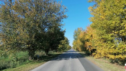 ТРАЖЕ НОВУ ЗАШТИТУ ЗА СТАРЕ ДУДОВЕ: Вршчани се боре да очувају дрвореде старе више од 200 година на путу ка месту Стража