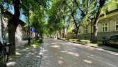 ЗЕЛЕНИЛА ДОВОЉНО САМО СТАТИСТИЧКИ: Суботица знатно надмашује европски просек, али суграђани сматрају да су им мало 183 квадрата по глави