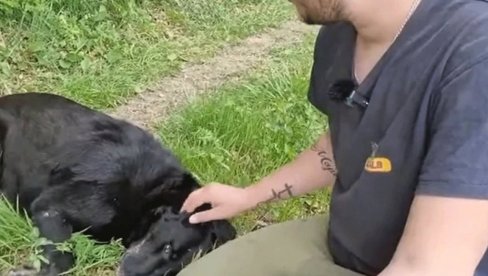 LABRADOR SPASAO MLADIĆA: Priča iz Prnjavora pokazuje da je pas najbolji prijatelj čoveku LABRADOR SPASAO MLADIĆA: Priča iz Prnjavora pokazuje da je pas najbolji prijatelj čoveku