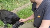 LABRADOR SPASAO MLADIĆA: Priča iz Prnjavora pokazuje da je pas najbolji prijatelj čoveku