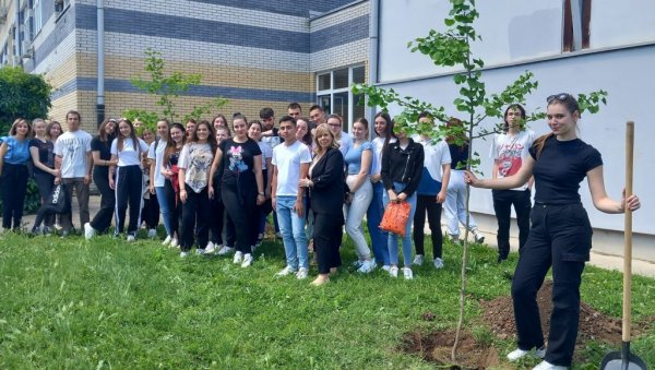 ДРВО ГЕНЕРАЦИЈЕ: Еколошка акција матураната Медицинске школе у Краљеву ДРВО ГЕНЕРАЦИЈЕ: Еколошка акција матураната Медицинске школе у Краљеву