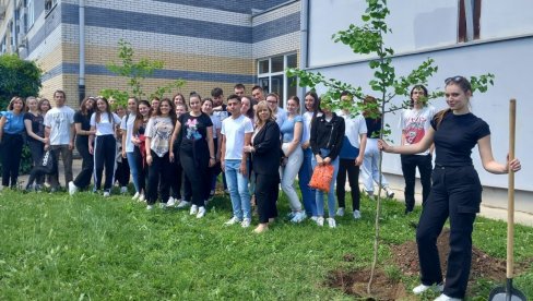 ДРВО ГЕНЕРАЦИЈЕ: Еколошка акција матураната Медицинске школе у Краљеву ДРВО ГЕНЕРАЦИЈЕ: Еколошка акција матураната Медицинске школе у Краљеву