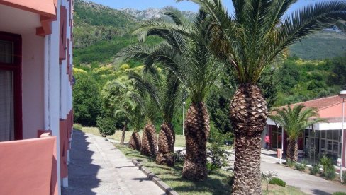 UŽIČKO ODMARALIŠTE U BEČIĆIMA: Besplatno za 60 đaka UŽIČKO ODMARALIŠTE U BEČIĆIMA: Besplatno za 60 đaka