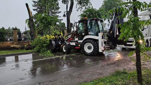 STABLA BLOKIRALA SAOBRAĆAJ: Olujno nevreme pogodilo Sombor STABLA BLOKIRALA SAOBRAĆAJ: Olujno nevreme pogodilo Sombor
