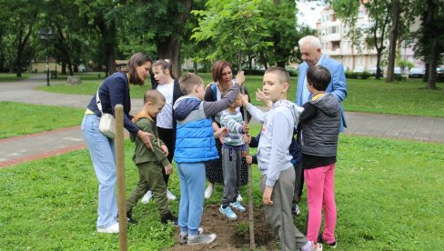 Mobilna aplikacija - ZASAĐENI NOVI BOĐOŠI:U Somboru obeležen Evropski dan parkova Mobilna aplikacija - ZASAĐENI NOVI BOĐOŠI:U Somboru obeležen Evropski dan parkova