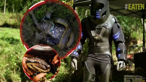 JEZIV PODUHVAT: Pustio anakondu da ga proguta - stvari su krenule po zlu (VIDEO) JEZIV PODUHVAT: Pustio anakondu da ga proguta - stvari su krenule po zlu (VIDEO)