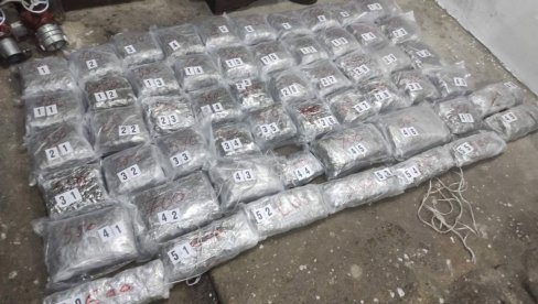 ZAPLENJENO 33 KILogramA KANABISA:Odličan ulov pripadnika MUP u Raški ZAPLENJENO 33 KILogramA KANABISA:Odličan ulov pripadnika MUP u Raški