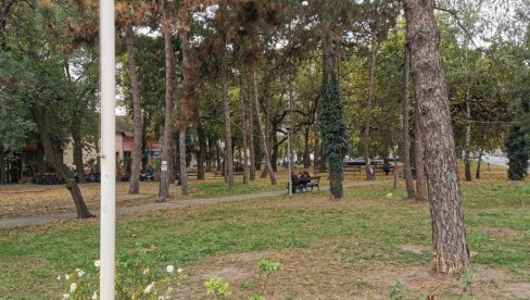 NAPADAČ IZ PARKA U PANČEVU U KUĆNOM PRITVORU: Sudija za maloletnike danas doneo novu odluku