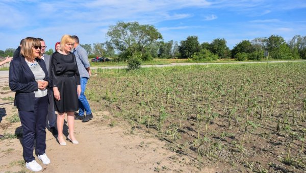 У ГЛОЖАНУ ШТЕТА СТО ОДСТО: Невреме у Општини Бачки Петровац оштетило 53 одсто обрадивих површина (ФОТО) У ГЛОЖАНУ ШТЕТА СТО ОДСТО: Невреме у Општини Бачки Петровац оштетило 53 одсто обрадивих површина (ФОТО)