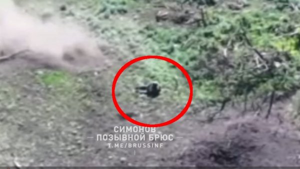 ЕПСКИ СНИМАК БОРБЕ РУСКОГ ВОЈНИКА У УКРАЈИНИ: Рањен уништава два дрона и спасава живу главу (ВИДЕО) ЕПСКИ СНИМАК БОРБЕ РУСКОГ ВОЈНИКА У УКРАЈИНИ: Рањен уништава два дрона и спасава живу главу (ВИДЕО)