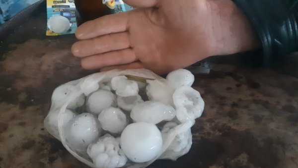У ЈАГОДИНИ ШТЕТА НА КУКУРУЗУ ДО 70 ОДСТО, ПО СРБИЈИ СТРАДАЛО ВОЋЕ И ПОВРЋЕ: Шта ће нам остати од приноса, после олуја са градом? У ЈАГОДИНИ ШТЕТА НА КУКУРУЗУ ДО 70 ОДСТО, ПО СРБИЈИ СТРАДАЛО ВОЋЕ И ПОВРЋЕ: Шта ће нам остати од приноса, после олуја са градом?