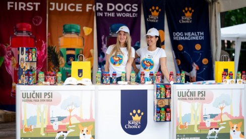 FESTIVAL ULIČNIH PASA – UPOZNAJTE SE SA PRVIM SOKIĆEM ZA PSE NA SVETU! King’s choice je pripremio osveženje za kuce, ali i sjajan program FESTIVAL ULIČNIH PASA – UPOZNAJTE SE SA PRVIM SOKIĆEM ZA PSE NA SVETU! King’s choice je pripremio osveženje za kuce, ali i sjajan program