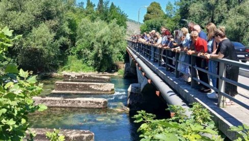 NESTALI, RANA KOJA NE ZACELJUJE: Uz sveće i cveće obeležene 32 godine od egzodusa srpskog naroda iz Mostara (FOTO) NESTALI, RANA KOJA NE ZACELJUJE: Uz sveće i cveće obeležene 32 godine od egzodusa srpskog naroda iz Mostara (FOTO)