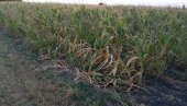 ŠKOLA ŽMURI NA KLIMATSKE PROMENE: Istraživanje novosadskih naučnika pokazalo da deca malo znaju o velikoj pretnji po planet