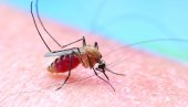 ŠIRE BOLESTI KAO ŠTO SU DENGA GROZNICA I ZIKA VIRUS: Zaštitite se od uboda komaraca ŠIRE BOLESTI KAO ŠTO SU DENGA GROZNICA I ZIKA VIRUS: Zaštitite se od uboda komaraca