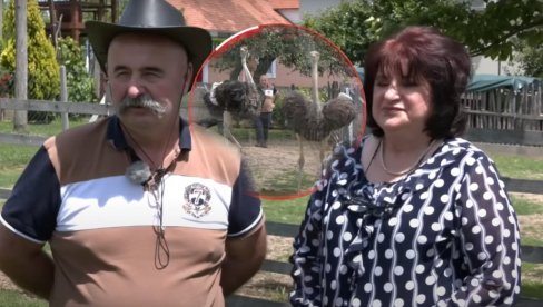 POSLE 37 GODINA U ŠVAJCARSKOJ: Petrovići se vratili u Srbiju, pa osnovali neobičnu farmu (VIDEO) POSLE 37 GODINA U ŠVAJCARSKOJ: Petrovići se vratili u Srbiju, pa osnovali neobičnu farmu (VIDEO)