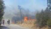 UHAPŠEN MUŠKARAC ZBOG POŽARA NA LEFKADI: Palio osušenu travu...