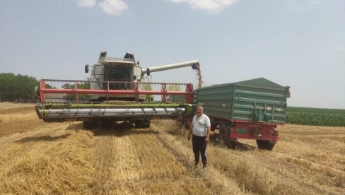 ŽETVA U PUNOM JEKU: Posle ječma, na severu Bačke, na redu polja pod pšenicom i uljanom repicom ŽETVA U PUNOM JEKU: Posle ječma, na severu Bačke, na redu polja pod pšenicom i uljanom repicom