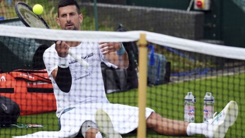 ŠTA SAM MOGAO? Novak Đoković bi svakako bio diskvalifikovan ŠTA SAM MOGAO? Novak Đoković bi svakako bio diskvalifikovan