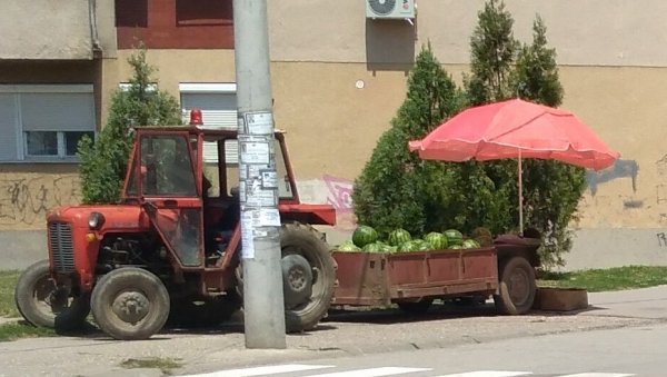 ПРОДАЈА БОСТАНА: Лубенице и диње на 25 локација ПРОДАЈА БОСТАНА: Лубенице и диње на 25 локација