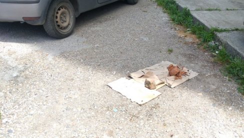 DOVITLJIVI VOZAČI: Parking-mesto obeležavaju čime stignu DOVITLJIVI VOZAČI: Parking-mesto obeležavaju čime stignu