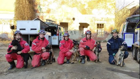 ZIGIJA ĆE NASLEDITI ZITA: Sektor za vanredne situacije MUP uskoro će raspolagati sa pet novih spasilačkih pasa (FOTO) ZIGIJA ĆE NASLEDITI ZITA: Sektor za vanredne situacije MUP uskoro će raspolagati sa pet novih spasilačkih pasa (FOTO)