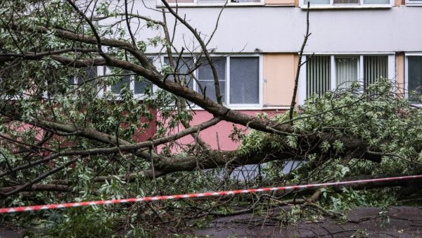 ПОГИНУЛО ДЕТЕ (11) НАКОН ШТО ЈЕ ДРВО ПАЛО НА ЊЕГА: Ужас после страшног невремена, затворене баште и паркови у Санкт Петербургу ПОГИНУЛО ДЕТЕ (11) НАКОН ШТО ЈЕ ДРВО ПАЛО НА ЊЕГА: Ужас после страшног невремена, затворене баште и паркови у Санкт Петербургу