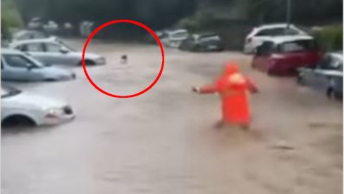 ŽENA SE DAVILA U BUJICI NA PETLOVOM BRDU: Radnik Gradske čistoće je spasao sigurne smrti (VIDEO) ŽENA SE DAVILA U BUJICI NA PETLOVOM BRDU: Radnik Gradske čistoće je spasao sigurne smrti (VIDEO)