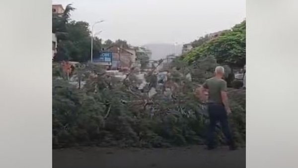 ДРВО ПАЛО НА ЖЕНУ: Невреме направило велике проблеме у региону (ВИДЕО) ДРВО ПАЛО НА ЖЕНУ: Невреме направило велике проблеме у региону (ВИДЕО)