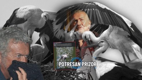 DUŠA ME BOLI Objavio potresan prizor, pobijene su - štitile mlade: Pomozite preživelim (FOTO) DUŠA ME BOLI Objavio potresan prizor, pobijene su - štitile mlade: Pomozite preživelim (FOTO)