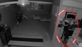 PORODIČNI PAS ZAPALIO STAN: Videli snimak i shvatili šta je uradio (VIDEO) PORODIČNI PAS ZAPALIO STAN: Videli snimak i shvatili šta je uradio (VIDEO)