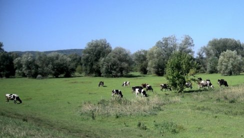 POMOĆ POLJOPRIVREDI: Za podsticaje dodeljeno 3,6 miliona POMOĆ POLJOPRIVREDI: Za podsticaje dodeljeno 3,6 miliona