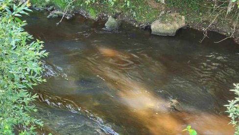 MAZUT PLIVA ĐETINJOM: Još jedna ekološka bomba u Užicu MAZUT PLIVA ĐETINJOM: Još jedna ekološka bomba u Užicu