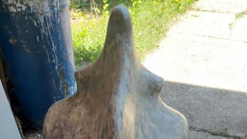 PRIZNAO DA JE UKRAO DELFINA VREDNOG 45 HILJADA EVRA: Saslušan osumnjičeni za krađu skupocene skulpture PRIZNAO DA JE UKRAO DELFINA VREDNOG 45 HILJADA EVRA: Saslušan osumnjičeni za krađu skupocene skulpture