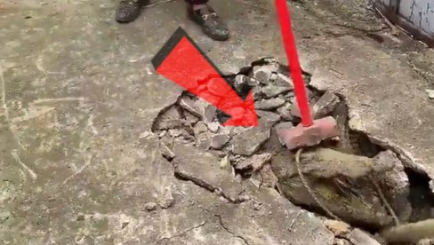 SNIMAK JE ZASTRAŠUJUĆ: Zbog čudnih zvukova razbili beton, a ispod - ZVER SNIMAK JE ZASTRAŠUJUĆ: Zbog čudnih zvukova razbili beton, a ispod - ZVER