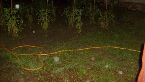 TUKAO LED VELIČINE LEŠNIKA: Nevreme posle paklenih vrućina u Sivcu kod Kule TUKAO LED VELIČINE LEŠNIKA: Nevreme posle paklenih vrućina u Sivcu kod Kule