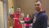 DŽOKEROVA PUSTINJSKA BANDA: Protiv Australijanaca i Amera razrada plana igre sa Jokićem DŽOKEROVA PUSTINJSKA BANDA: Protiv Australijanaca i Amera razrada plana igre sa Jokićem
