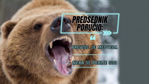 DRAMA U KOMŠILUKU: Medved usmrtio devojku, skupština propisala da se masovno ubijaju - povećana kvota DRAMA U KOMŠILUKU: Medved usmrtio devojku, skupština propisala da se masovno ubijaju - povećana kvota