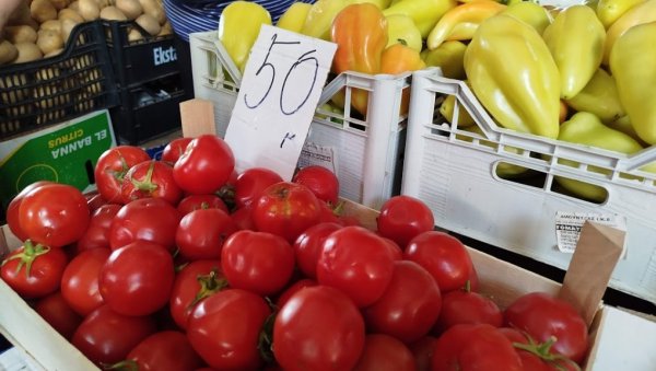 НЕВЕРОВАТНА ЦЕНА ОД 50 ДИНАРА: За толико се може купити парадајз на пијаци у Параћину (ФОТО) НЕВЕРОВАТНА ЦЕНА ОД 50 ДИНАРА: За толико се може купити парадајз на пијаци у Параћину (ФОТО)