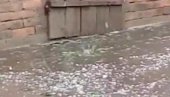 NEVREME NA SEVERU VOJVODINE: Jak pljusak i grad zahvatili ove delove Srbije NEVREME NA SEVERU VOJVODINE: Jak pljusak i grad zahvatili ove delove Srbije