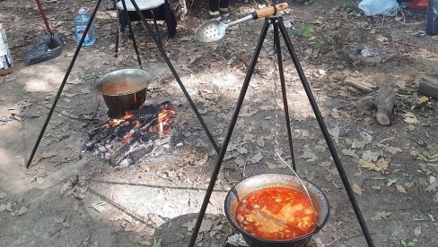 ALASKE VEČERI: Trodnevna fešta na Dunavu ALASKE VEČERI: Trodnevna fešta na Dunavu