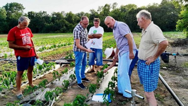 ПАОРИ УКОШТАЦ СА КЛИМОМ: Параћински пољопривредници укључени у пројекат ФАО за јачање отпорности биљних култура ПАОРИ УКОШТАЦ СА КЛИМОМ: Параћински пољопривредници укључени у пројекат ФАО за јачање отпорности биљних култура