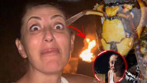 OVO NE RADITE: Tiktokerka ZAPALILA gnezdo stršljena - bitno je KADA ćete to učiniti (VIDEO) OVO NE RADITE: Tiktokerka ZAPALILA gnezdo stršljena - bitno je KADA ćete to učiniti (VIDEO)