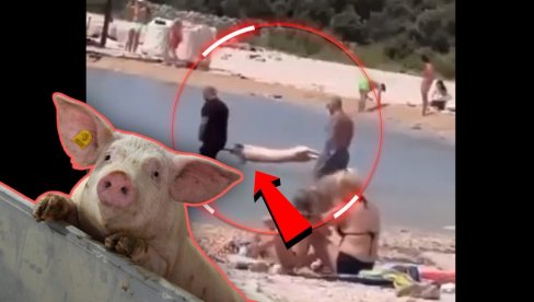 USOLILI PRASE NA RAŽNJU U MORU: Bizarna scena na plaži - ljudi u neverici gledali šta se dešava (VIDEO) USOLILI PRASE NA RAŽNJU U MORU: Bizarna scena na plaži - ljudi u neverici gledali šta se dešava (VIDEO)